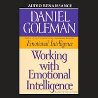 Working with Emotional Intelligence