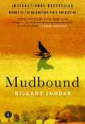 Mudbound