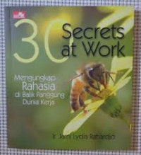 30 Secrets at work : Mengungkap rahasia di balik panggung kerja